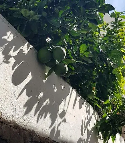 Vila Lovely 2 Bedroom House With Private Garden *